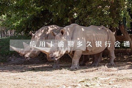 信用卡逾期多久银行会通知