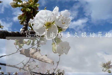 信用卡逾期多久银行开始诉讼 信用卡逾期多久银行开始诉讼
