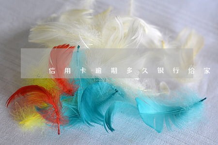 信用卡逾期多久银行给家里打电话 信用卡逾期多久银行给家里打电话