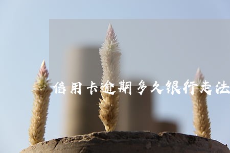 信用卡逾期多久银行走法律程序 信用卡逾期多久银行走法律程序