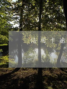 信用卡逾期多久需要收手续费 信用卡逾期多久需要收手续费