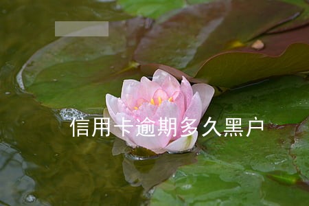 信用卡逾期多久黑户