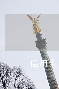 信用卡逾期多买车能分期吗 信用卡逾期多买车能分期吗
