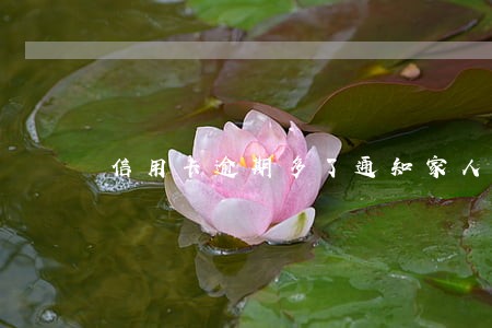 信用卡逾期多了通知家人 信用卡逾期多了通知家人