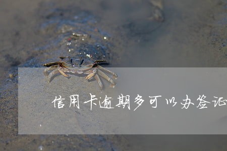 信用卡逾期多可以办签证吗 信用卡逾期多可以办签证吗