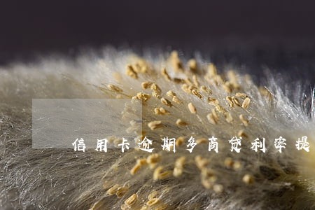 信用卡逾期多商贷利率提高