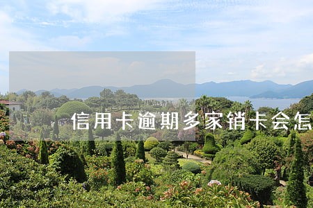 信用卡逾期多家销卡会怎么样