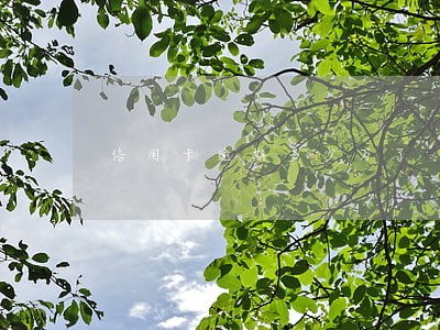 信用卡逾期多少万了 信用卡逾期多少万了