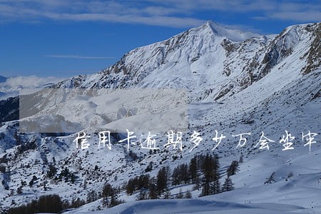 信用卡逾期多少万会坐牢吗
