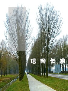 信用卡逾期多少万要坐牢 信用卡逾期多少万要坐牢