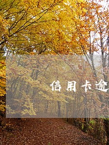 信用卡逾期多少上黑名单