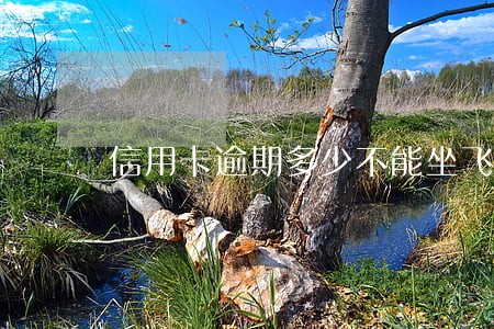 信用卡逾期多少不能坐飞机 信用卡逾期多少不能坐飞机