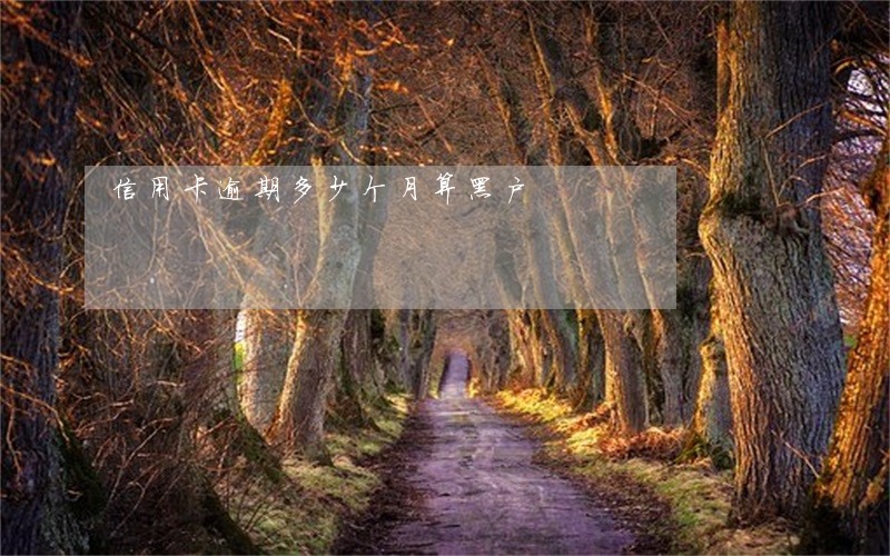 信用卡逾期多少个月算黑户 信用卡逾期多少个月算黑户