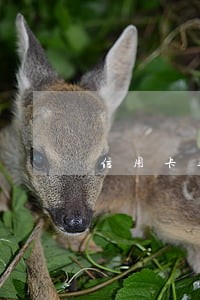 信用卡逾期多少为数额巨大 信用卡逾期多少为数额巨大