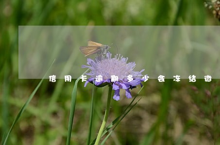 信用卡逾期多少会冻结微信 信用卡逾期多少会冻结微信