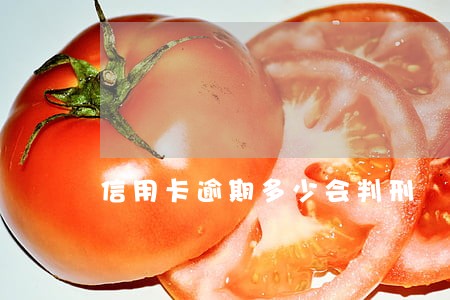 信用卡逾期多少会判刑 信用卡逾期多少会判刑