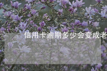 信用卡逾期多少会变成老赖 信用卡逾期多少会变成老赖