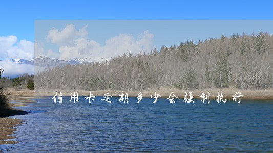 信用卡逾期多少会强制执行 信用卡逾期多少会强制执行