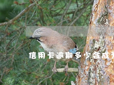 信用卡逾期多少会成为老赖