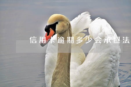 信用卡逾期多少会承担法律责任 信用卡逾期多少会承担法律责任