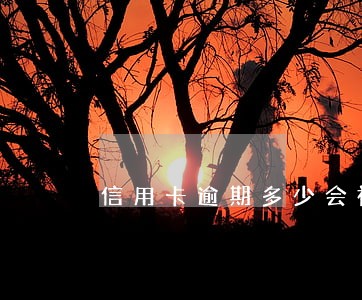 信用卡逾期多少会被上门 信用卡逾期多少会被上门