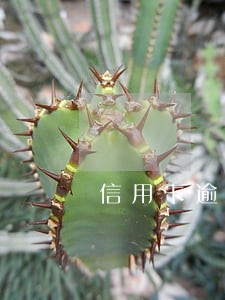 信用卡逾期多少会被上门催收 信用卡逾期多少会被上门催收