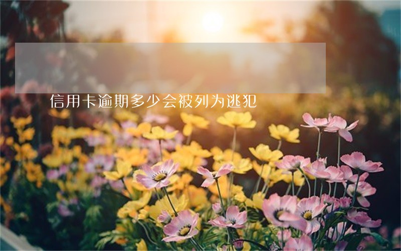 信用卡逾期多少会被列为逃犯 信用卡逾期多少会被列为逃犯