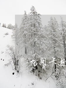信用卡逾期多少会黑名单