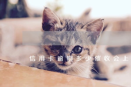 信用卡逾期多少催收会上门