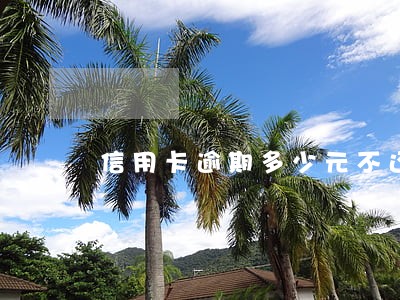 信用卡逾期多少元不还会判刑