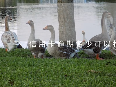 信用卡逾期多少可以报案 信用卡逾期多少可以报案