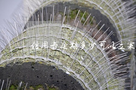 信用卡逾期多少可以立案 信用卡逾期多少可以立案