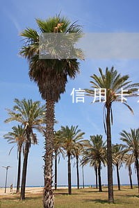 信用卡逾期多少回上征信 信用卡逾期多少回上征信