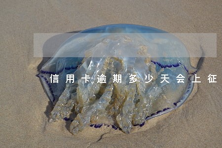 信用卡逾期多少天会上征信报告 信用卡逾期多少天会上征信报告