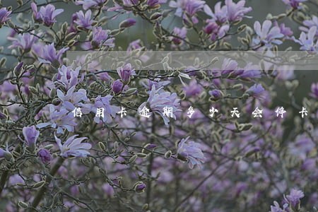 信用卡逾期多少天会停卡 信用卡逾期多少天会停卡