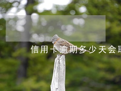 信用卡逾期多少天会取消 信用卡逾期多少天会取消