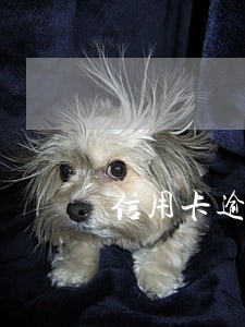 信用卡逾期多少天会取消分期 信用卡逾期多少天会取消分期