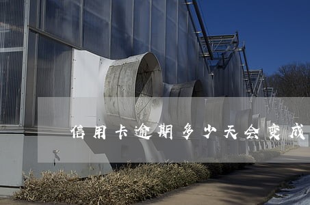 信用卡逾期多少天会变成黑名单
