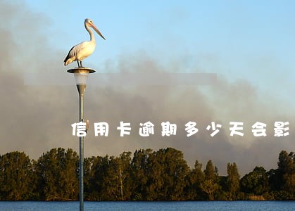 信用卡逾期多少天会影响信誉 信用卡逾期多少天会影响信誉