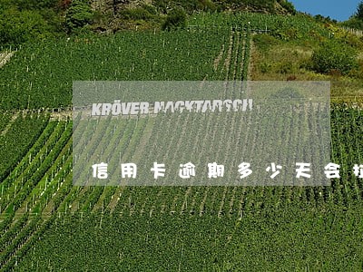 信用卡逾期多少天会拉入黑名单