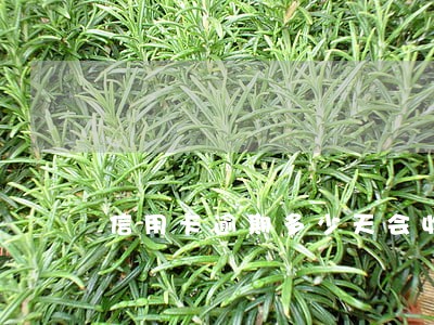 信用卡逾期多少天会收利息 信用卡逾期多少天会收利息