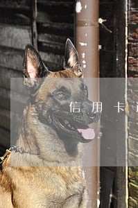 信用卡逾期多少天会来电话催 信用卡逾期多少天会来电话催