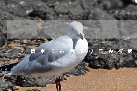 信用卡逾期多少天会被起诉立案 信用卡逾期多少天会被起诉立案
