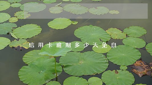 信用卡逾期多少天免息 信用卡逾期多少天免息