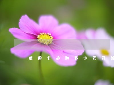 信用卡逾期多少天开始打电话 信用卡逾期多少天开始打电话