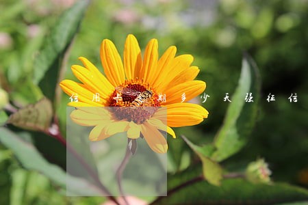 信用卡逾期多少天强征信