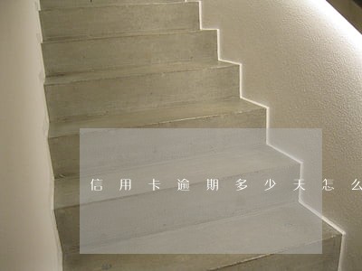 信用卡逾期多少天怎么查询 信用卡逾期多少天怎么查询