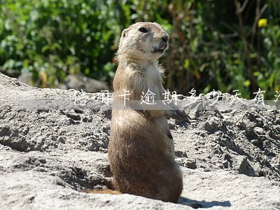 信用卡逾期多少天有滞纳金 信用卡逾期多少天有滞纳金