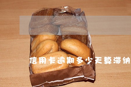 信用卡逾期多少天算滞纳金 信用卡逾期多少天算滞纳金