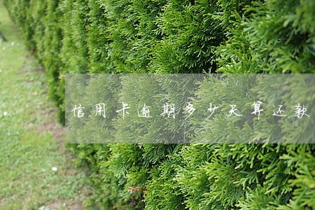 信用卡逾期多少天算还款 信用卡逾期多少天算还款